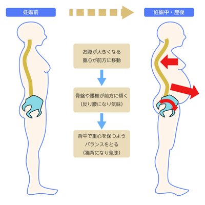 桂川で人気の産後の骨盤矯正整体院が教える骨盤体操 京都中丸整体カイロプラクティック 院長ブログ 京都市西京区 洛西口 桂川 の整体なら京都中丸整体カイロプラクティック