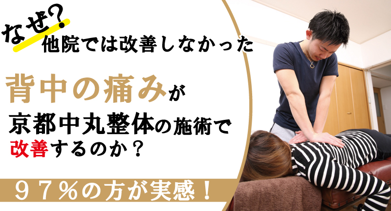 ぎっくり背中 急な背中の痛み の原因とその対処方 洛西口 桂川の京都中丸整体カイロプラクティック 院長ブログ 京都市西京区 洛西口 桂川 の整体なら京都中丸整体カイロプラクティック